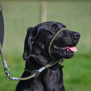 Figure of 8 Lead - Image 2