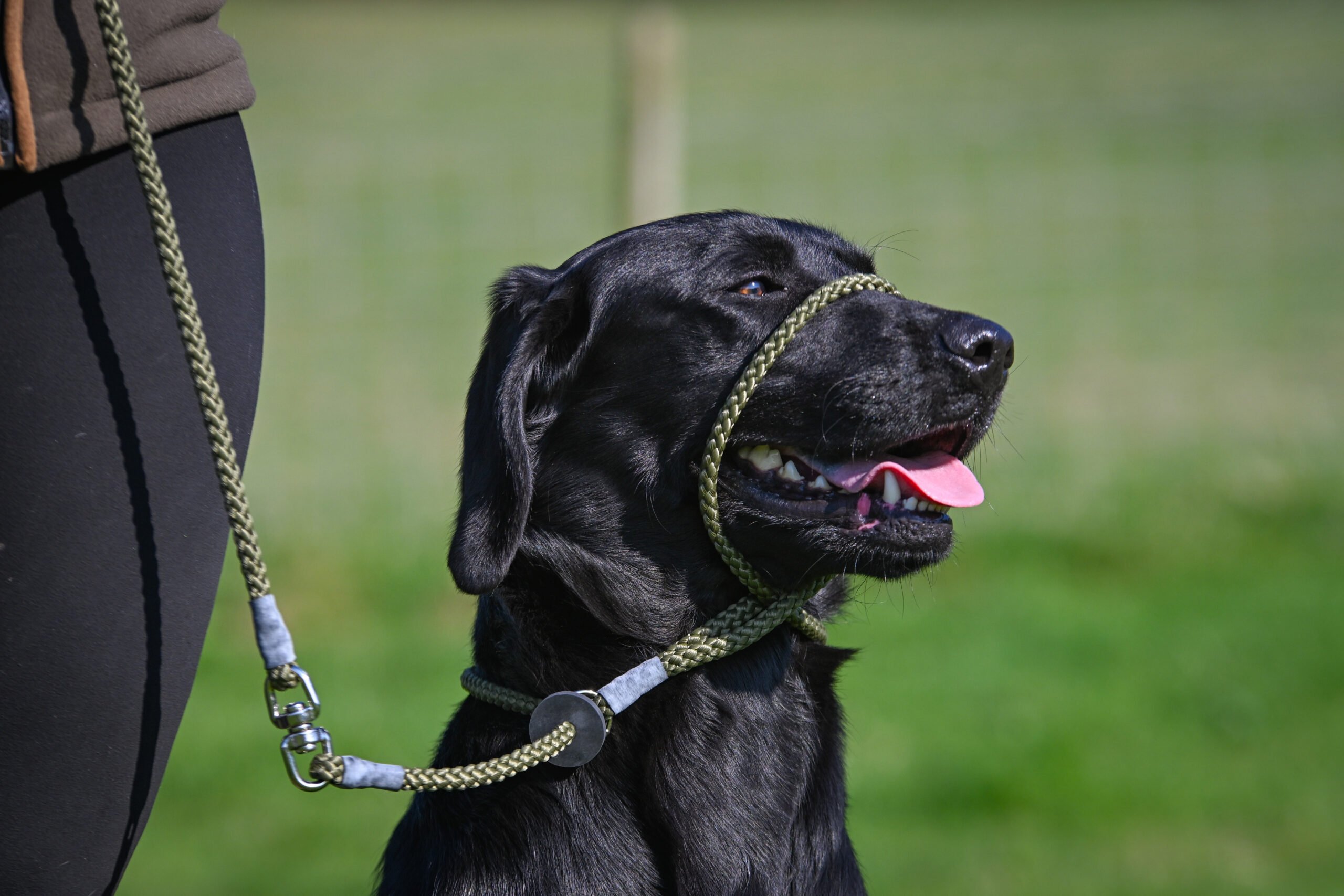 Figure of 8 Lead - Image 2