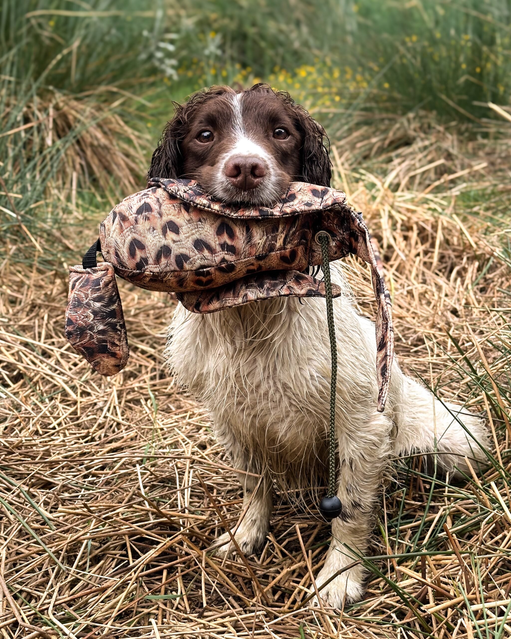 Dead Bird Dummy - Image 3