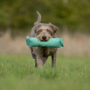 Goose & Hare Dummy - Image 2