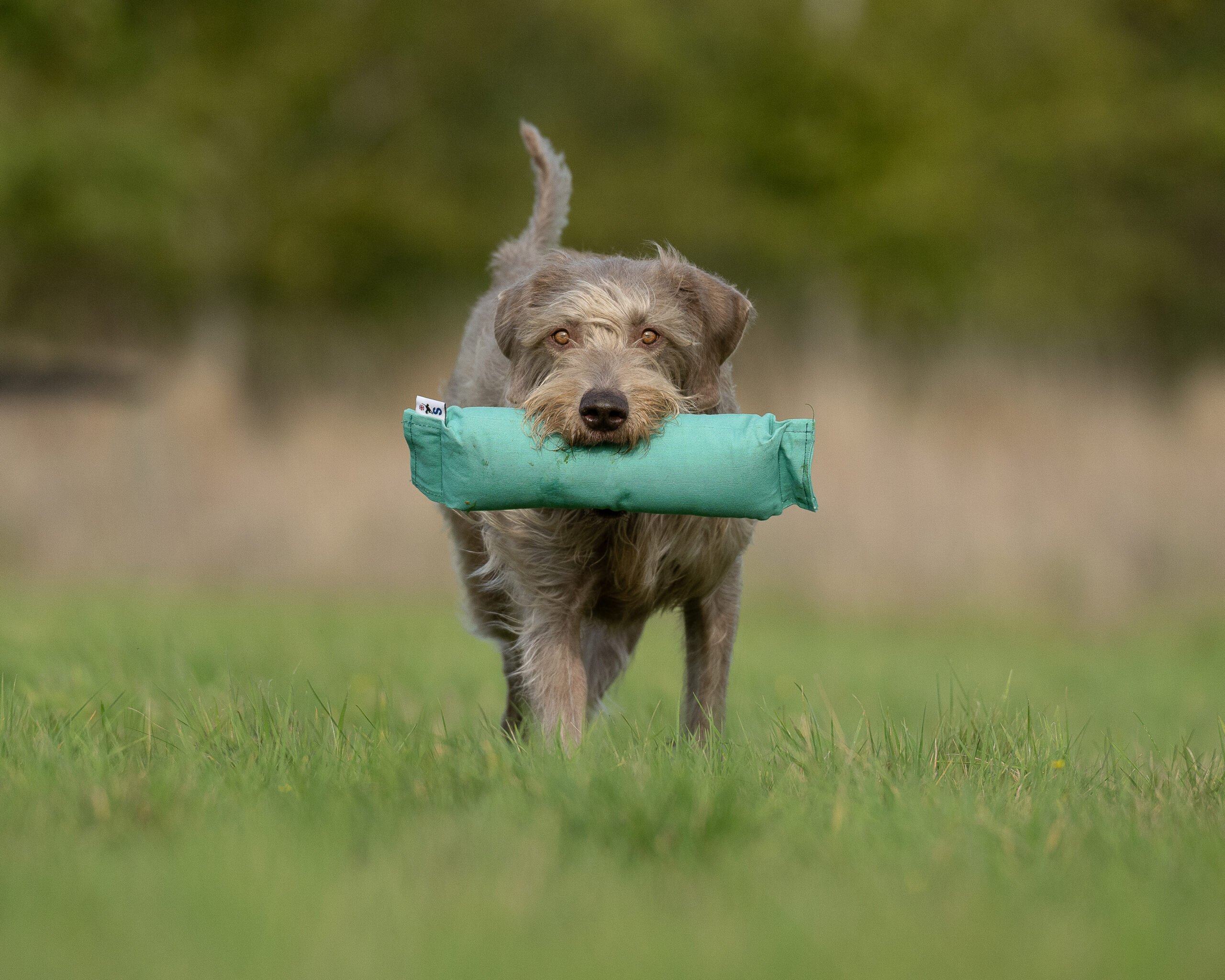 Goose & Hare Dummy - Image 2