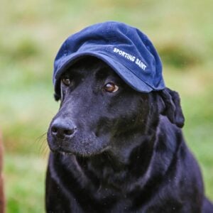 Sporting Saint Cap - Image 4