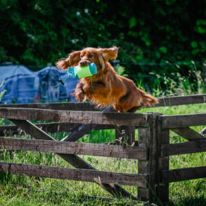 LWDG Tennis Ball Wrap - Image 3