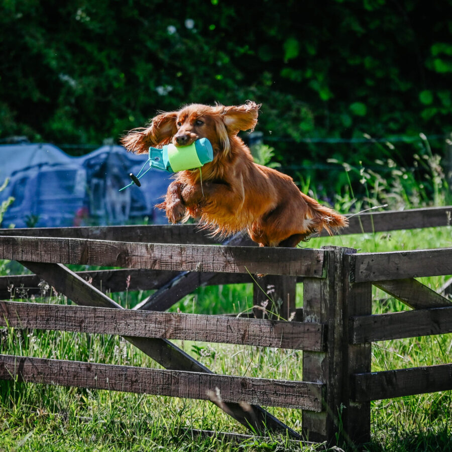 LWDG Tennis Ball Wrap