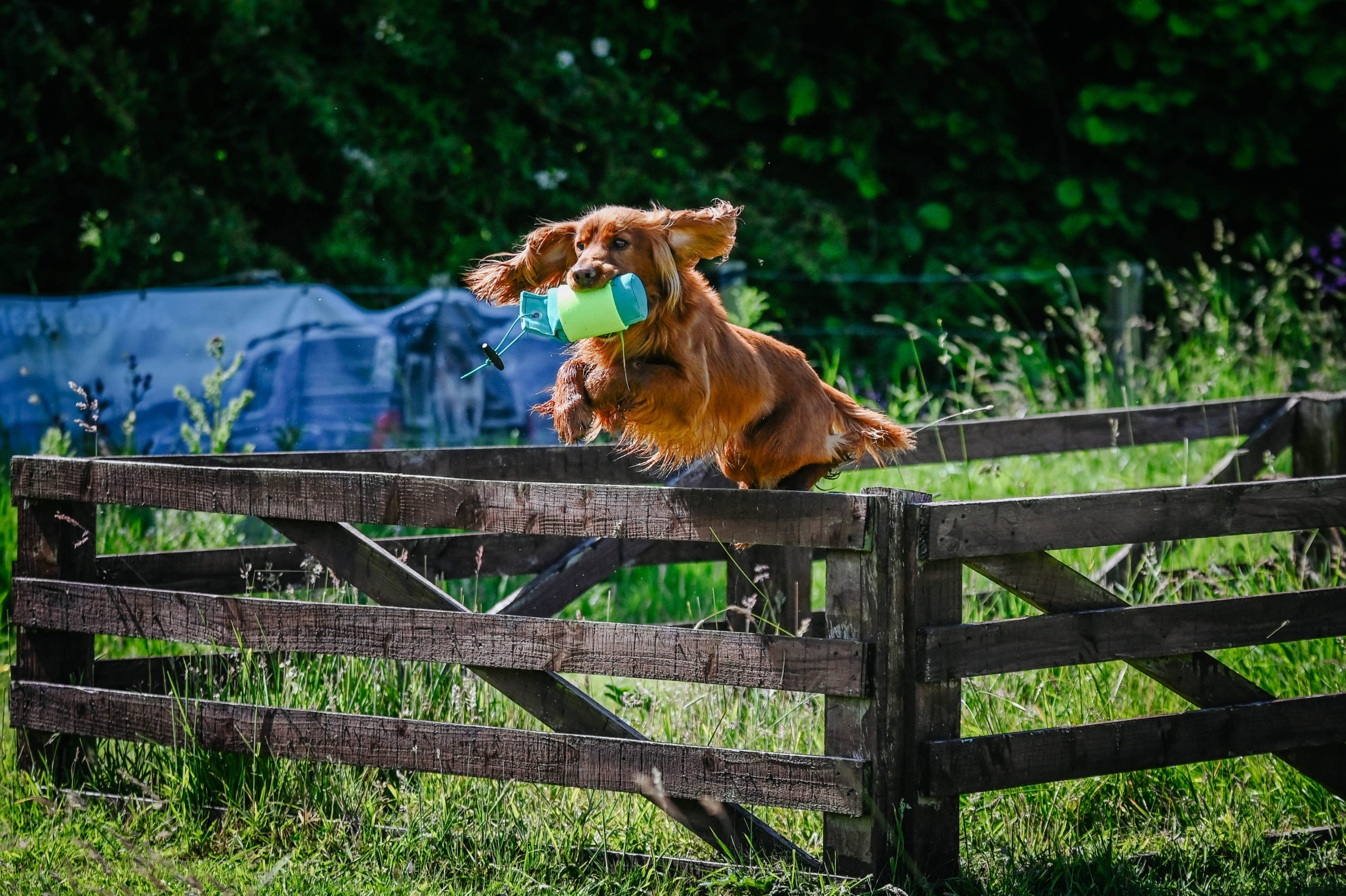 LWDG Tennis Ball Wrap - Image 3