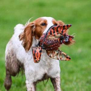 Dead Bird Dummy - Image 4