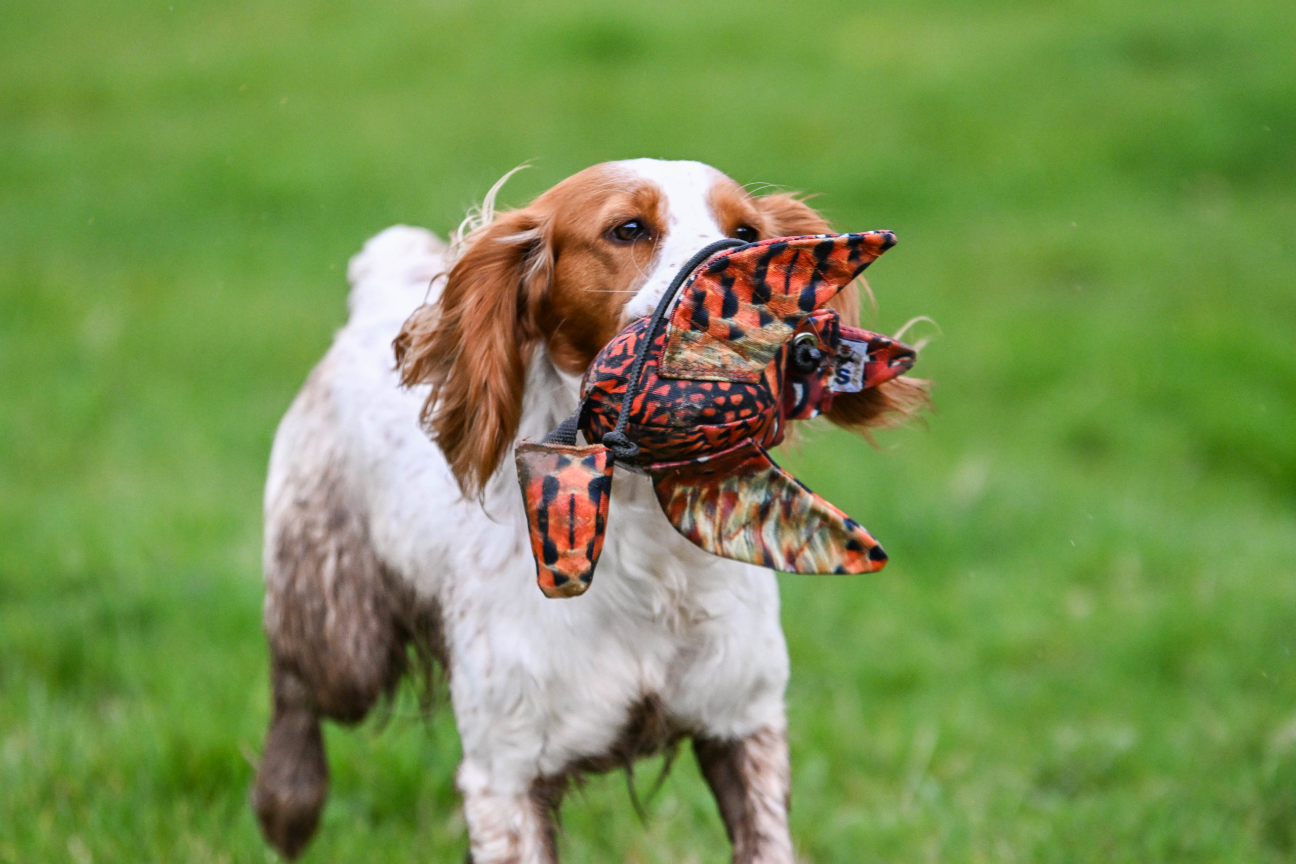 Dead Bird Dummy - Image 4