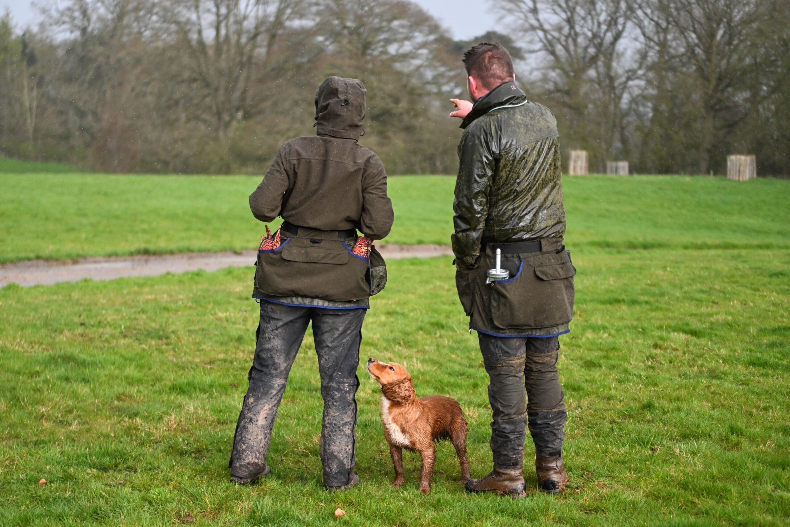 Training Belt - Image 4