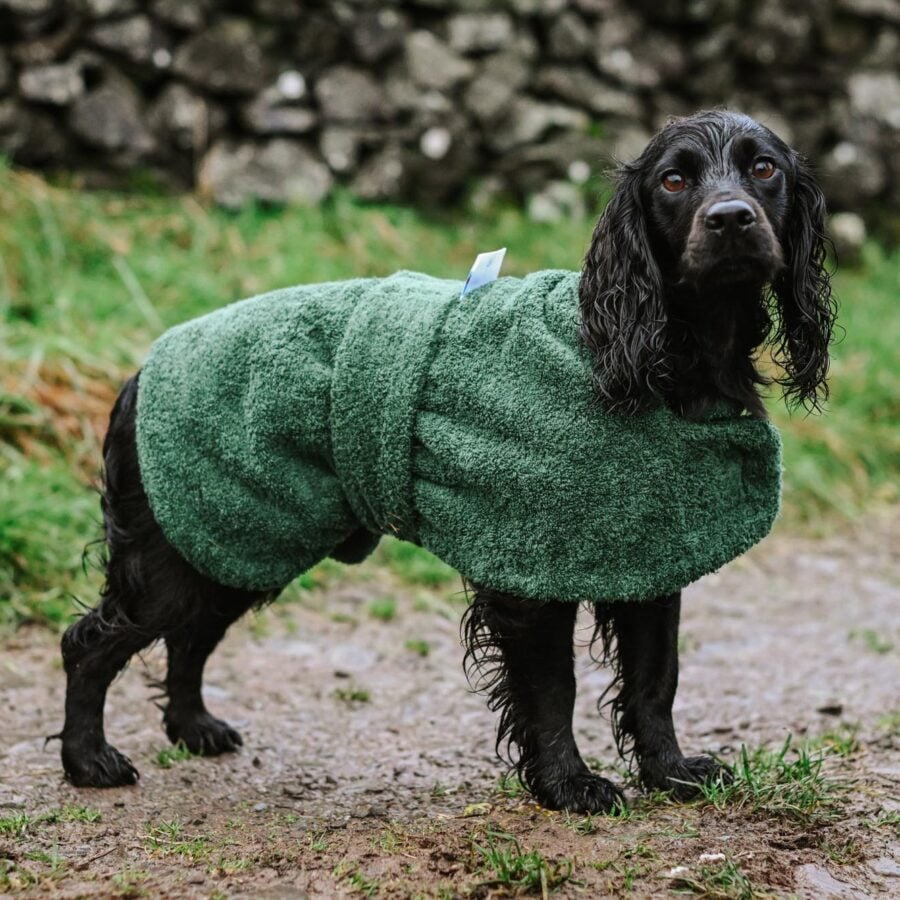 Towelling Drying Dog Coat - Wet to Dry in 20mins