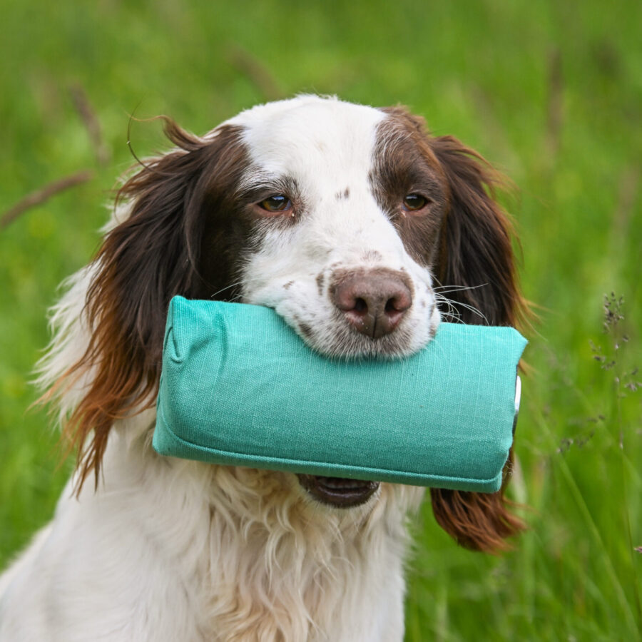 Sporting Saint Canvas Launcher Dummy