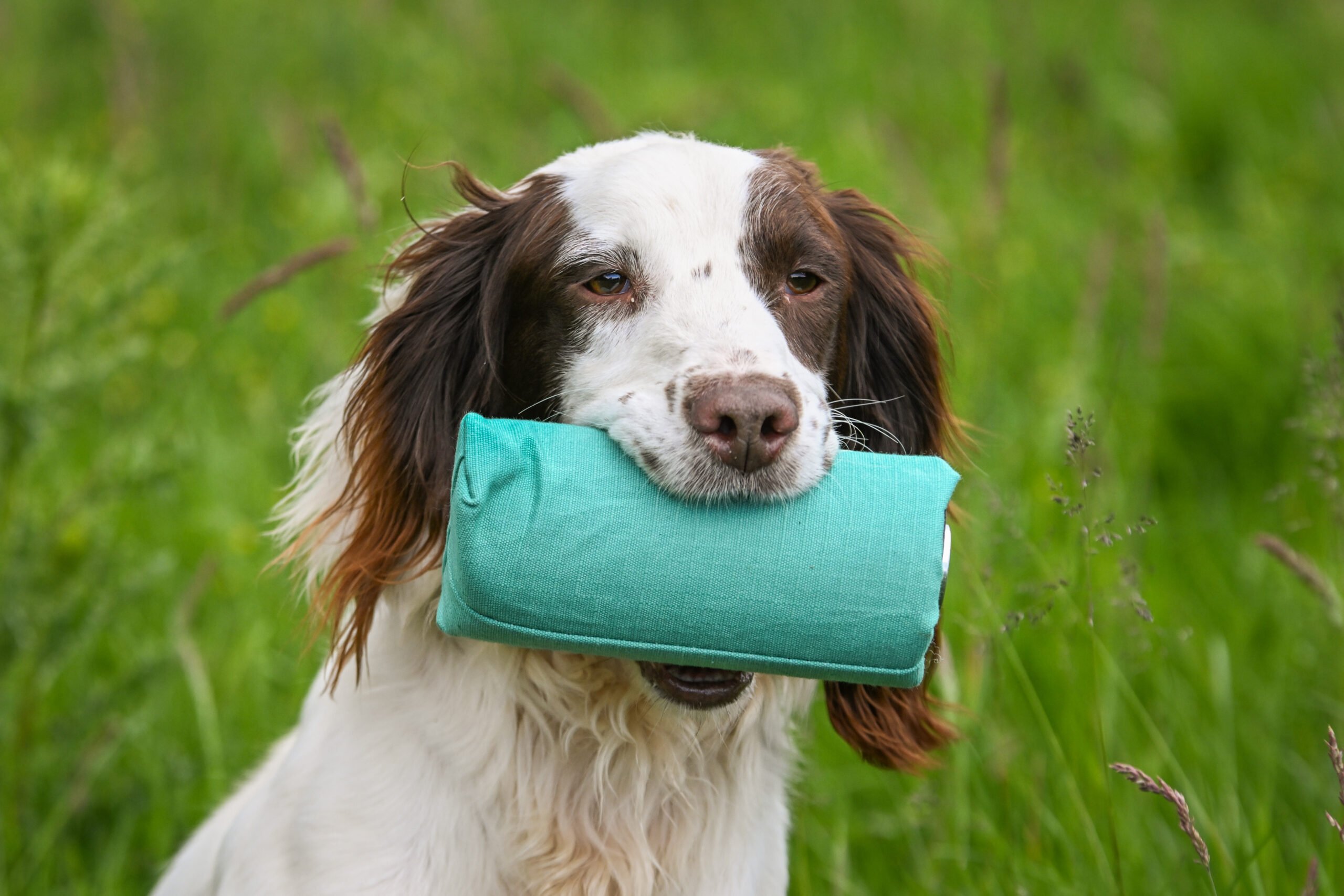 Sporting Saint Canvas Launcher Dummy - Image 2