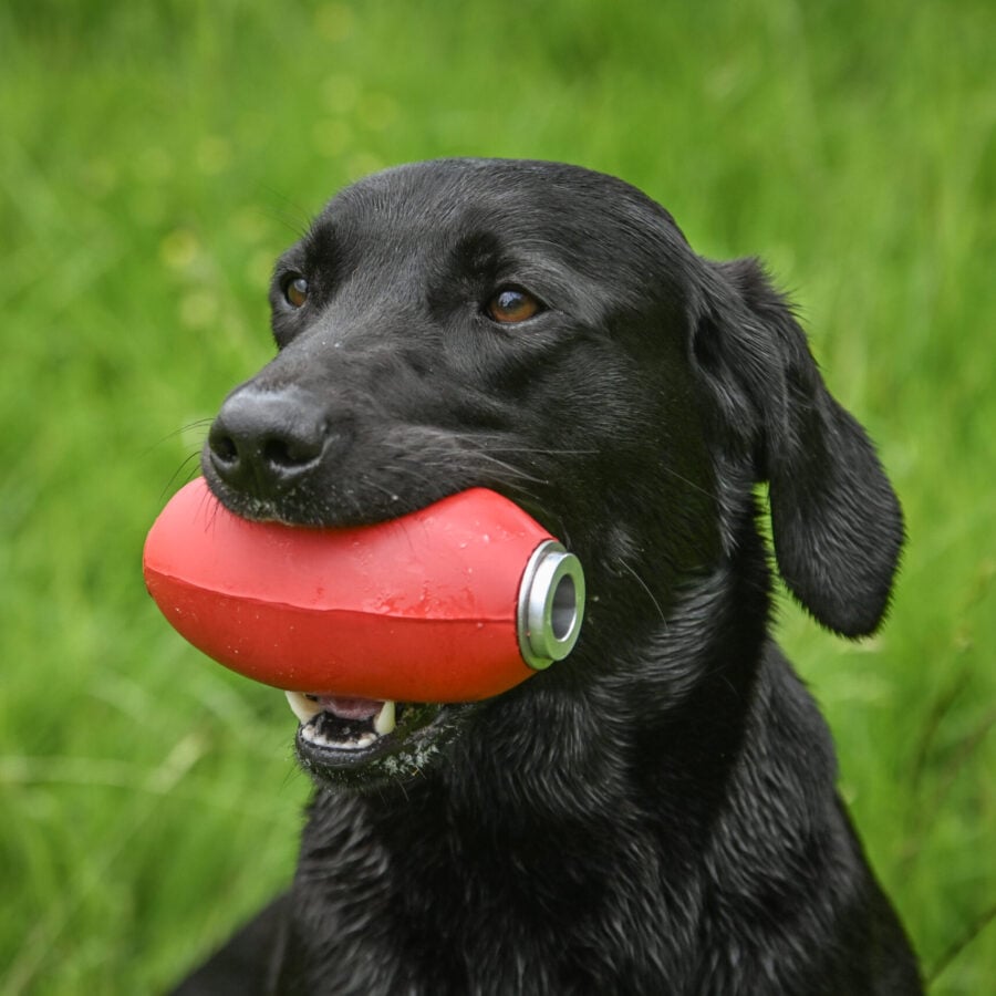 Sporting Saint PVC Launcher Dummies