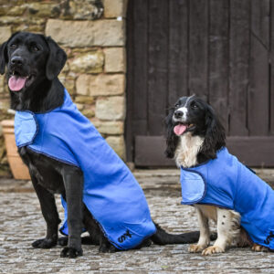 Cooling Dog Coat - Image 4