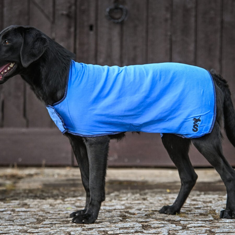 Cooling Dog Coat