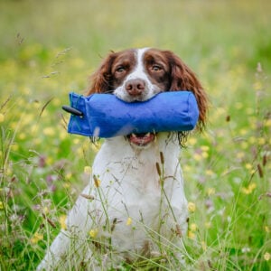 1lb Canvas Dummy - Image 4