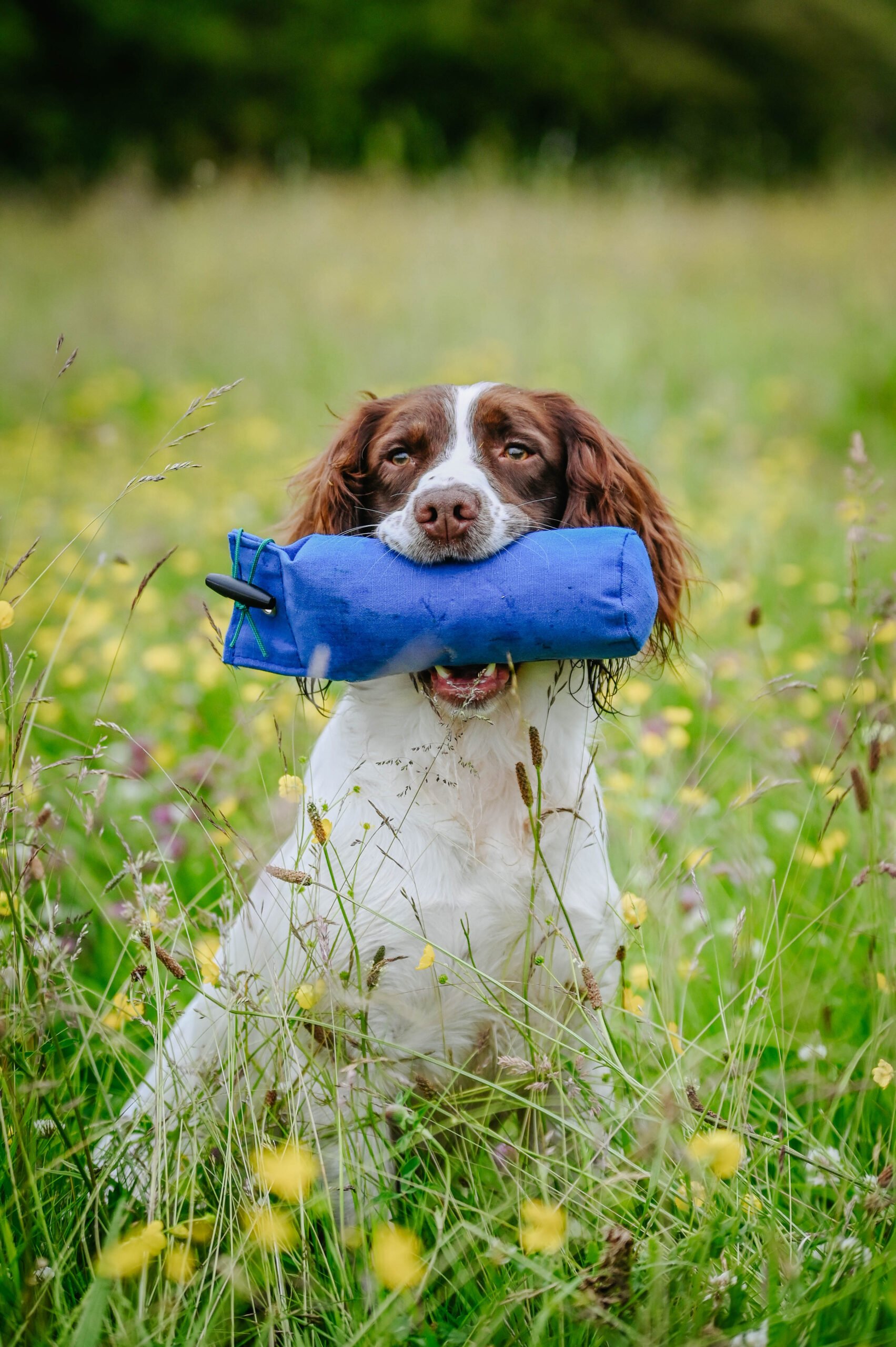 1lb Canvas Dummy - Image 4