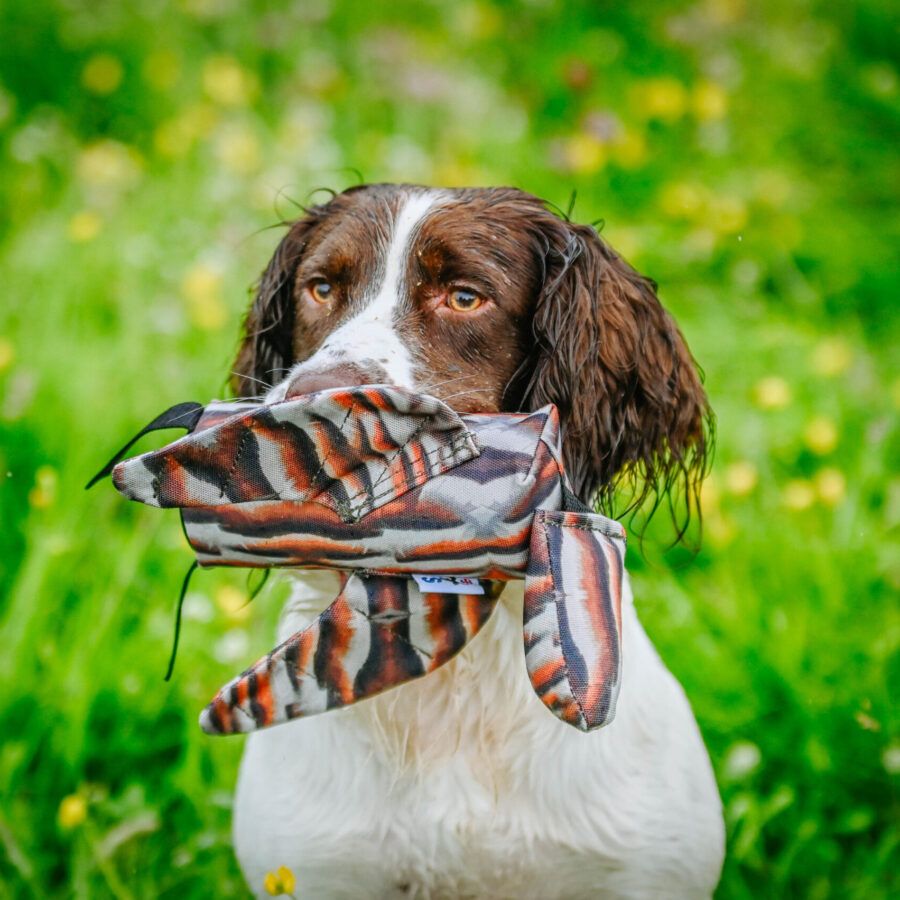 Sporting Saint Launcher Bird Dummy