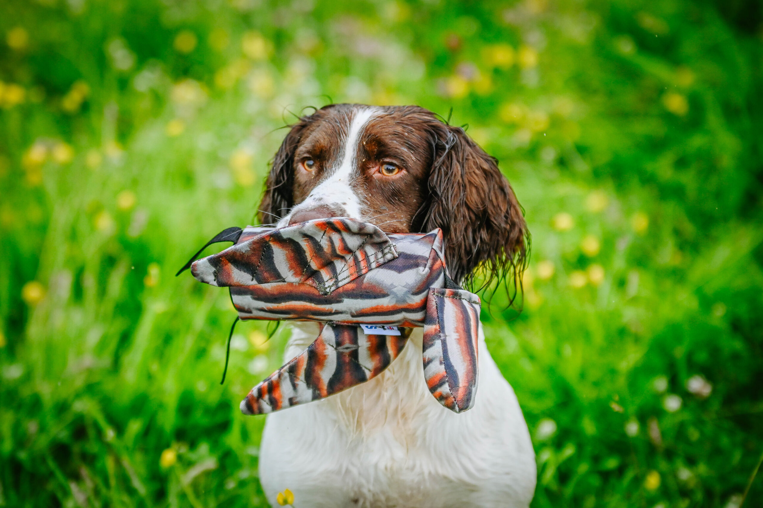Sporting Saint Launcher Bird Dummy - Image 2