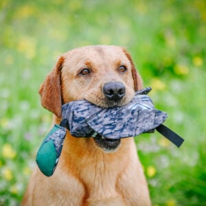 Sporting Saint Launcher Bird Dummy - Image 4