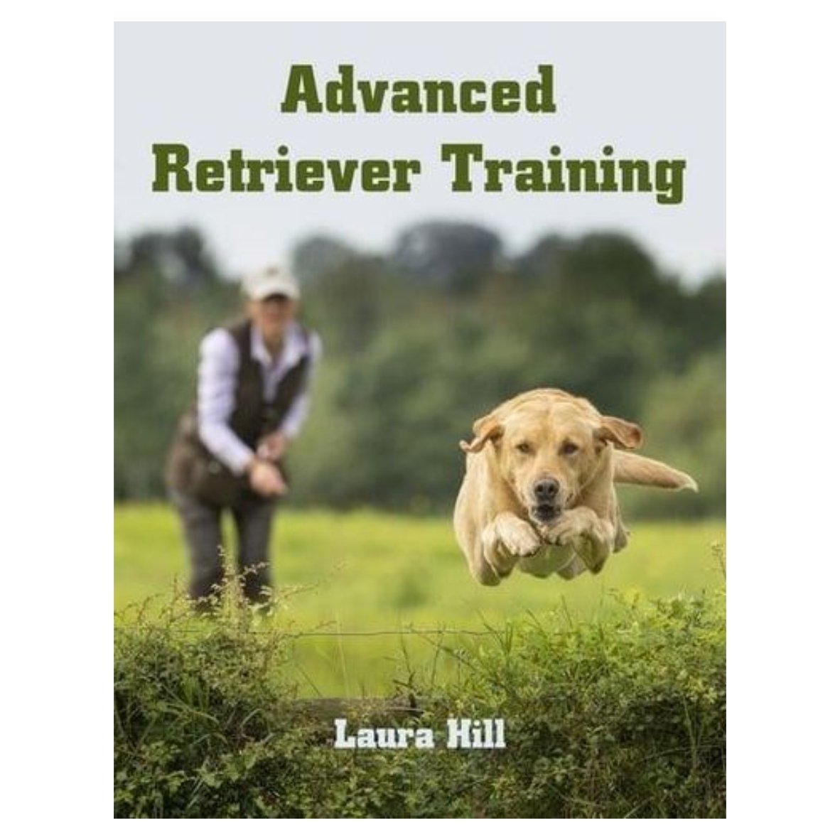 Advanced Retriever Training by Laura Hill - Image 1