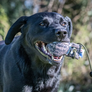 Dummy Balls - Image 3