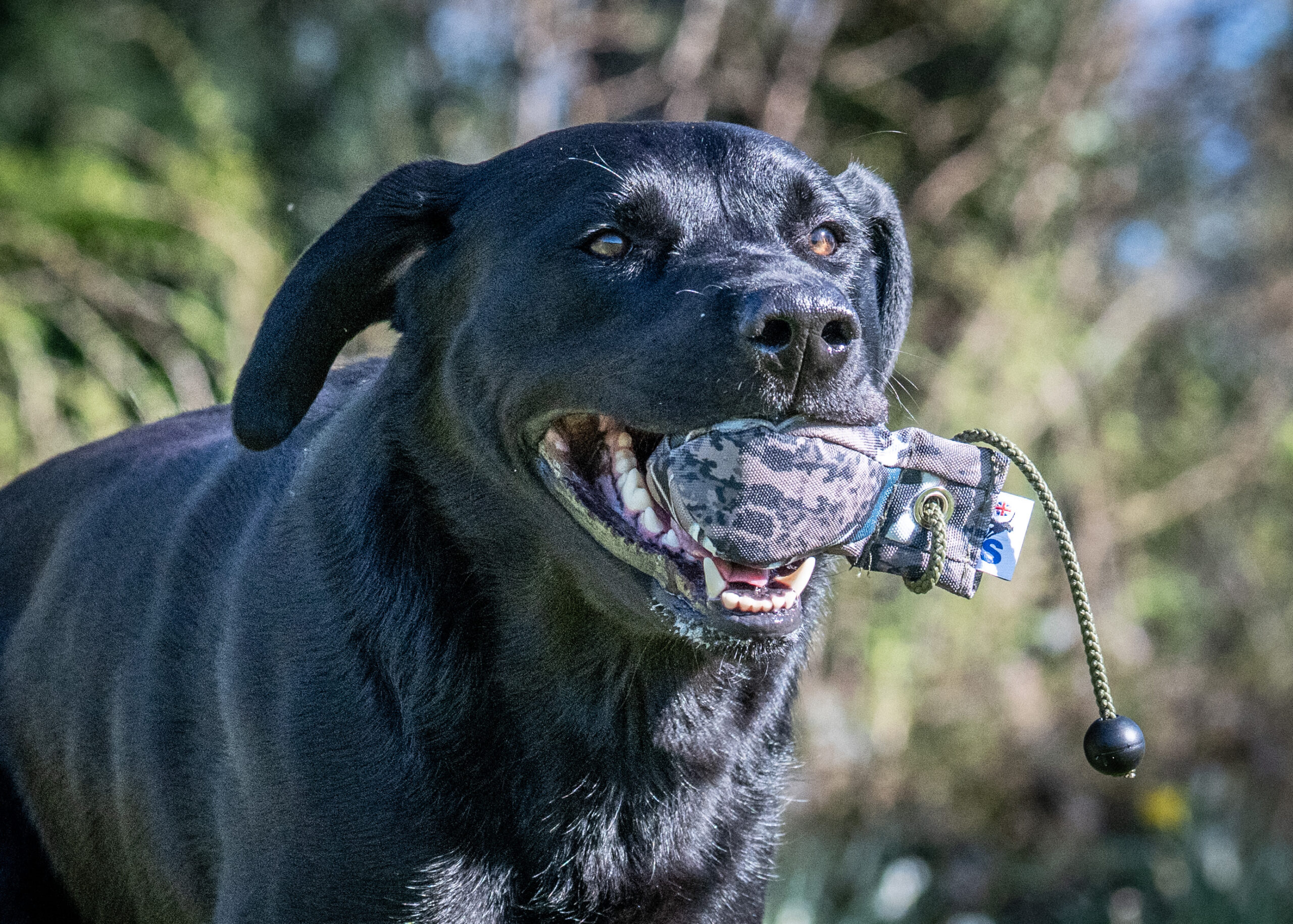 Dummy Balls - Image 3