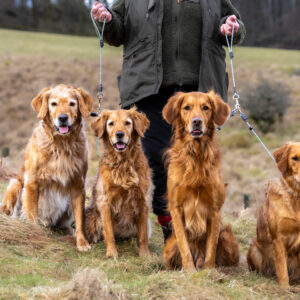 Field Trial PRO Brace Set - Image 2