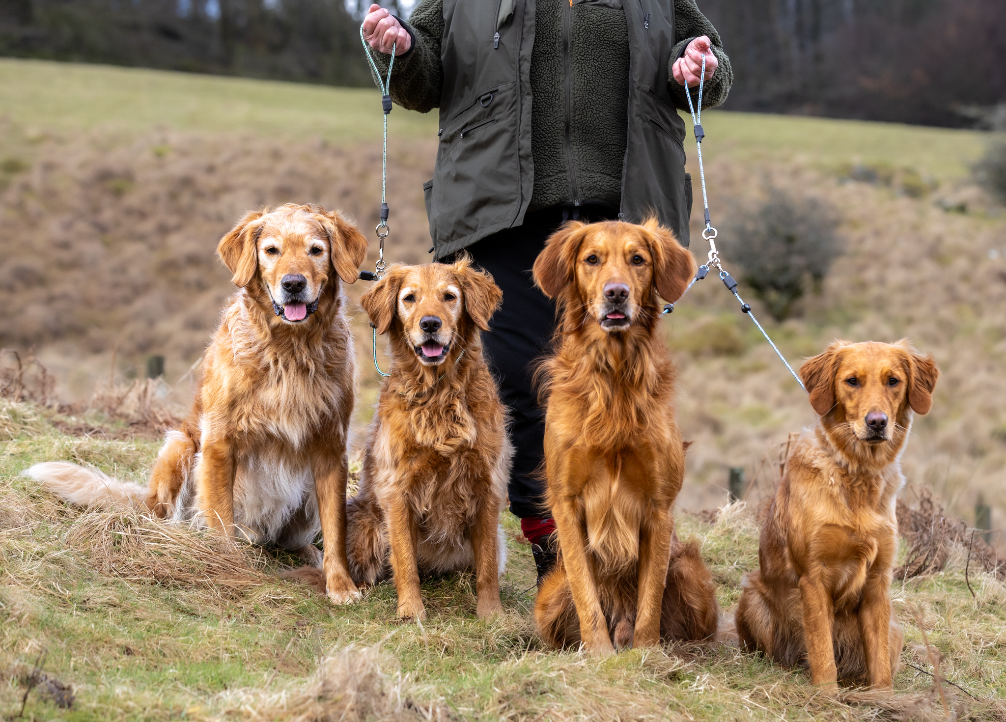 Field Trial PRO Brace Set - Image 2