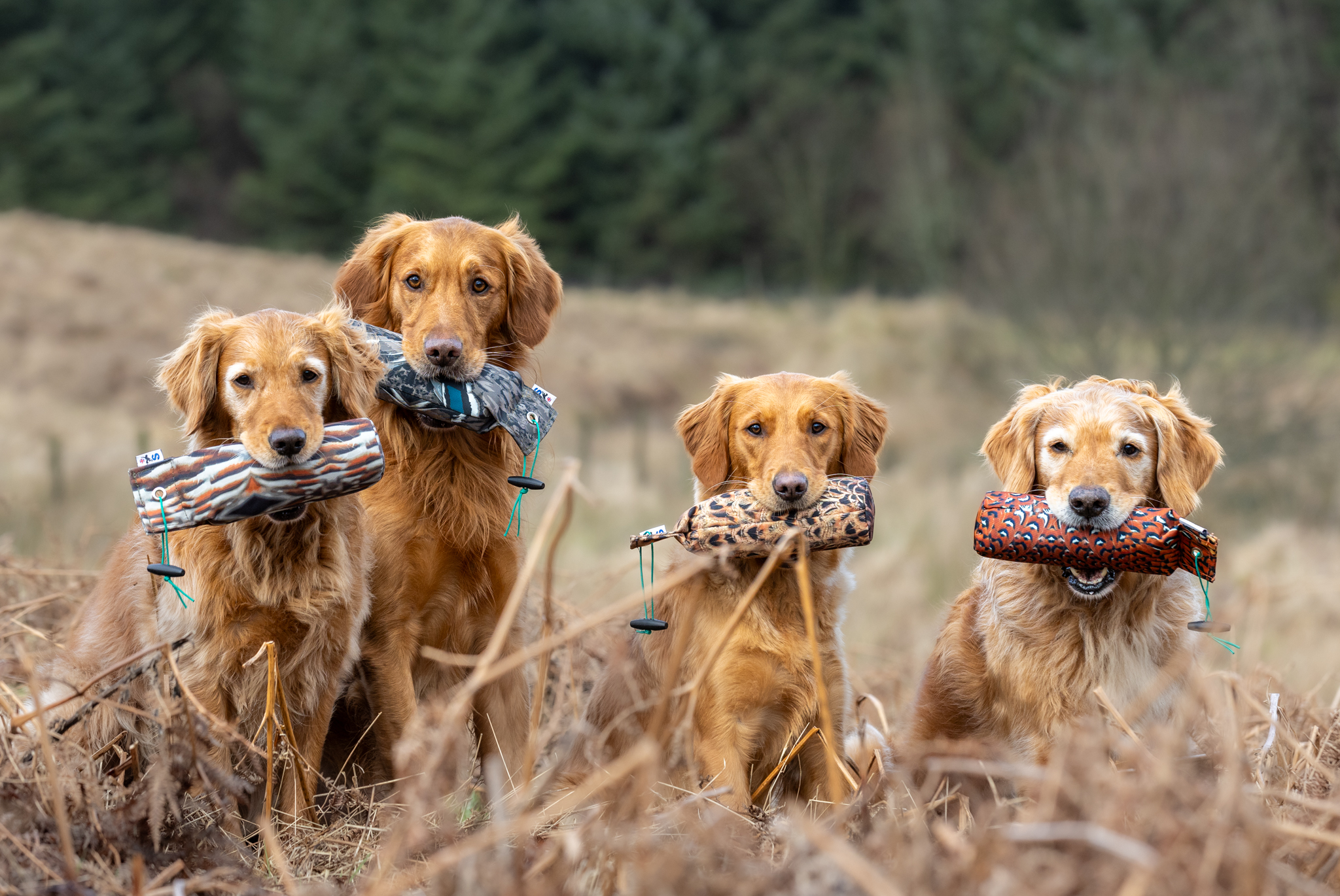 1lb FLIGHT Bundle - Image 2