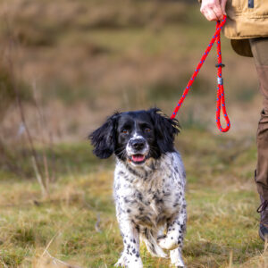 12mm Slip Lead - Image 3