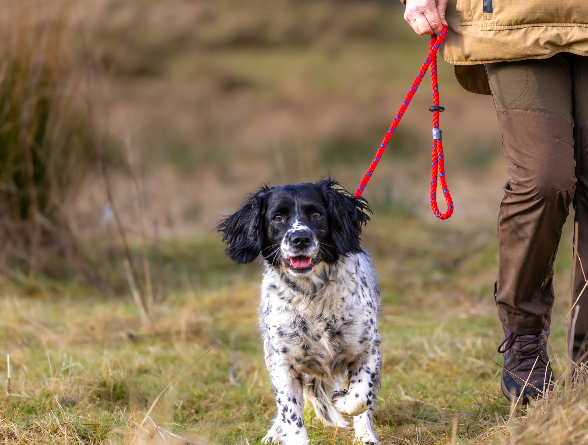 12mm Slip Lead - Image 3