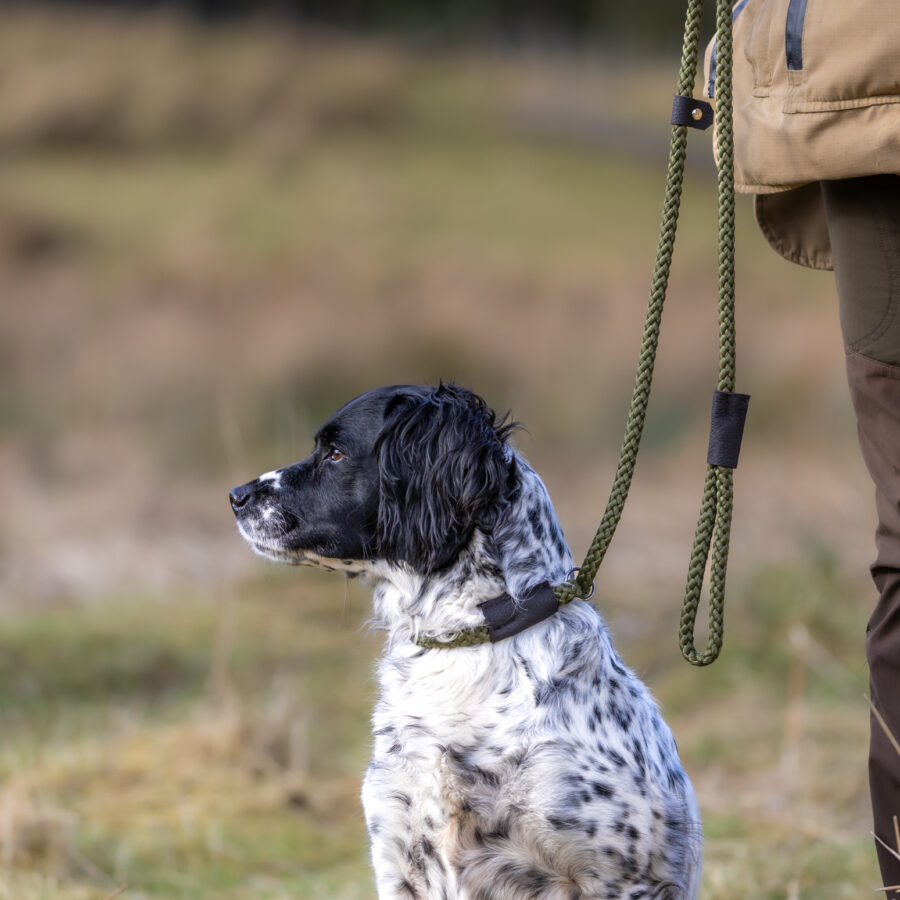Gundog Slip Lead Collection