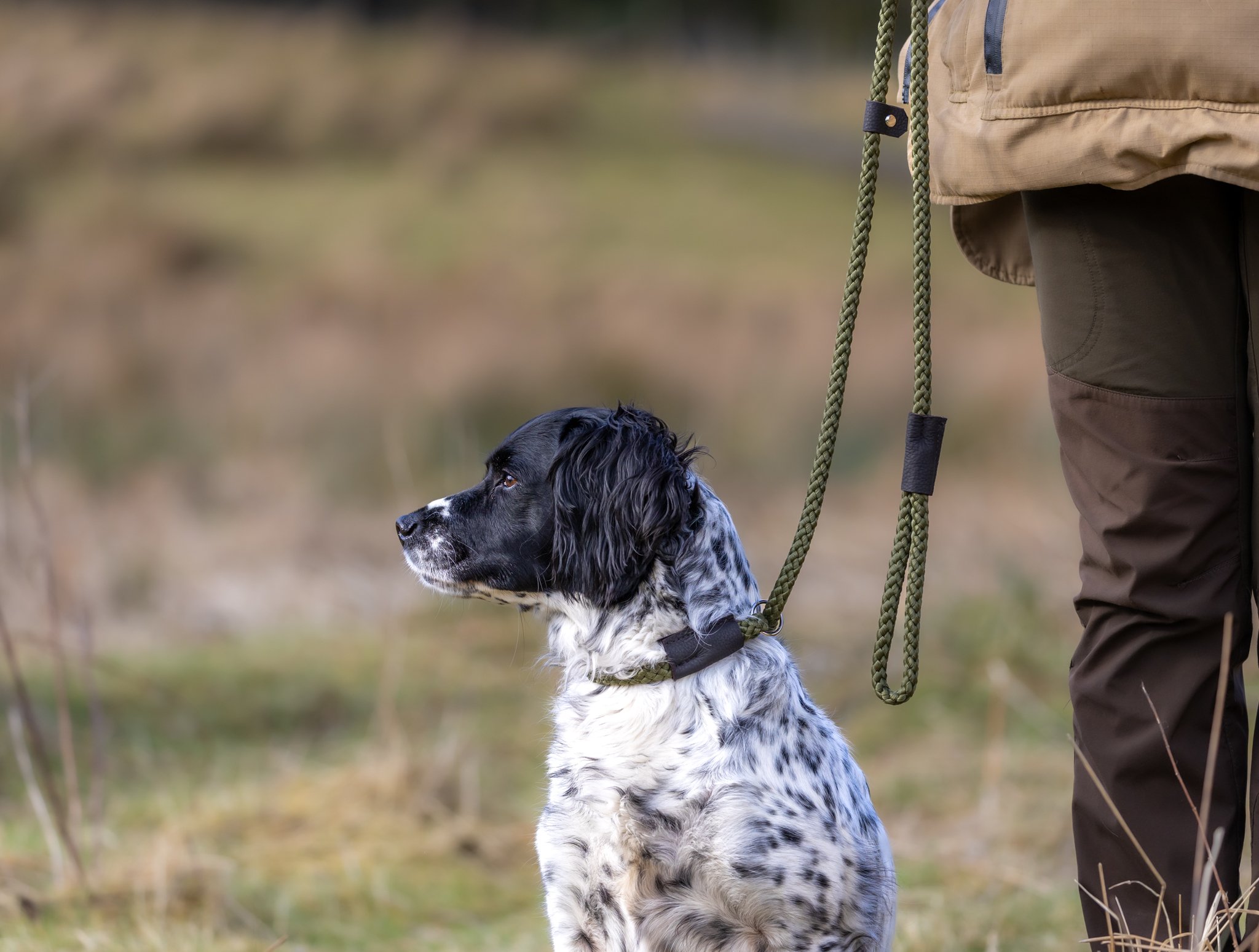 Gundog Slip Lead Collection - Image 3
