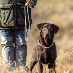 Rope Slip Lead 1.5m - Image 2