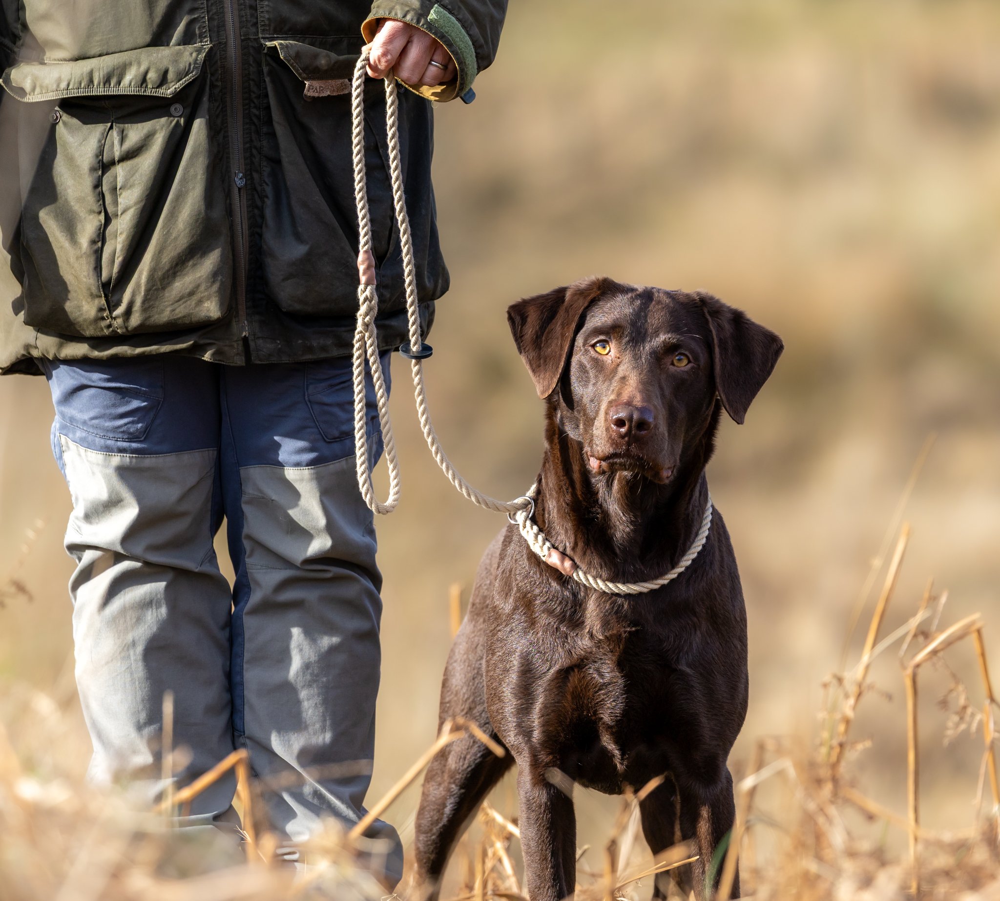 Rope Slip Lead 1.5m - Image 2