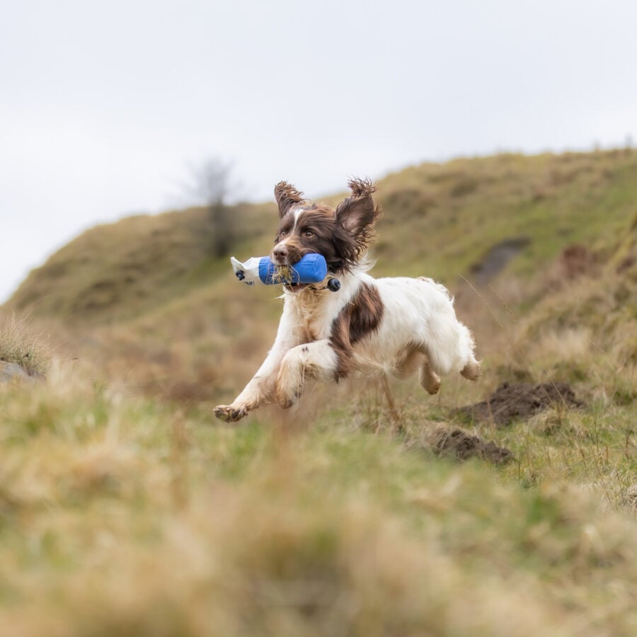 Flinger Mid Sized Marking Dummy by Laura Hill