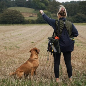 Sporting Saint Training Vest - Image 3
