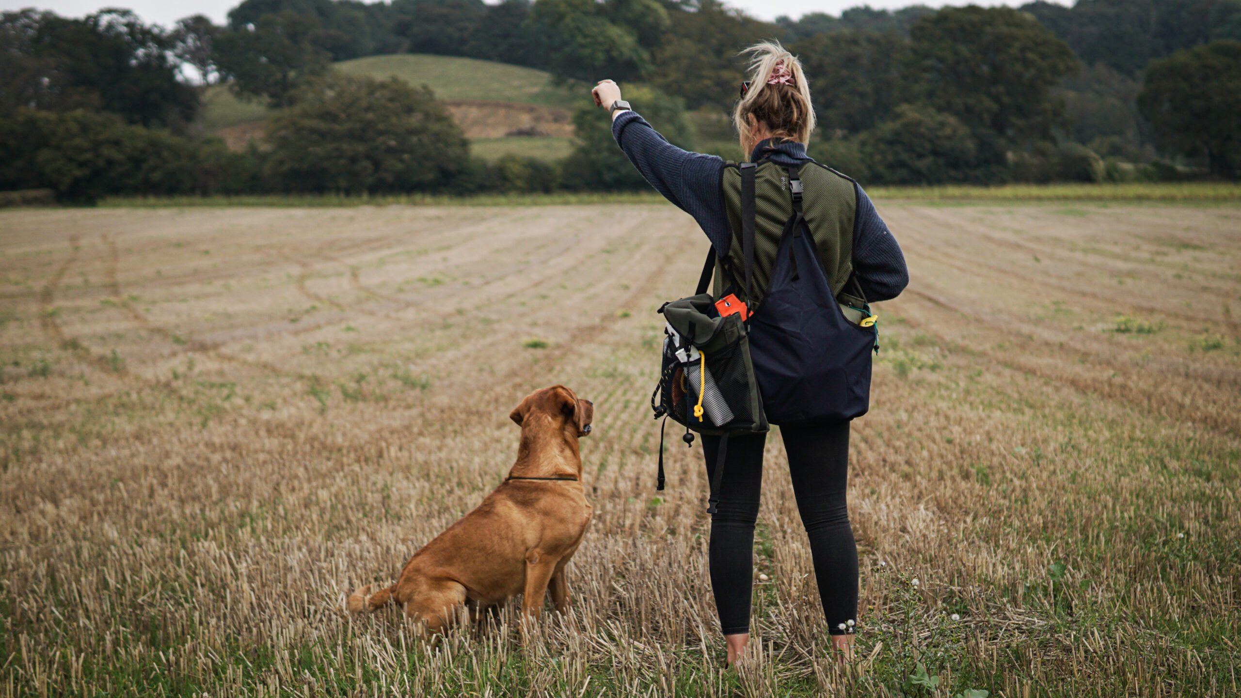 Sporting Saint Training Vest - Image 3
