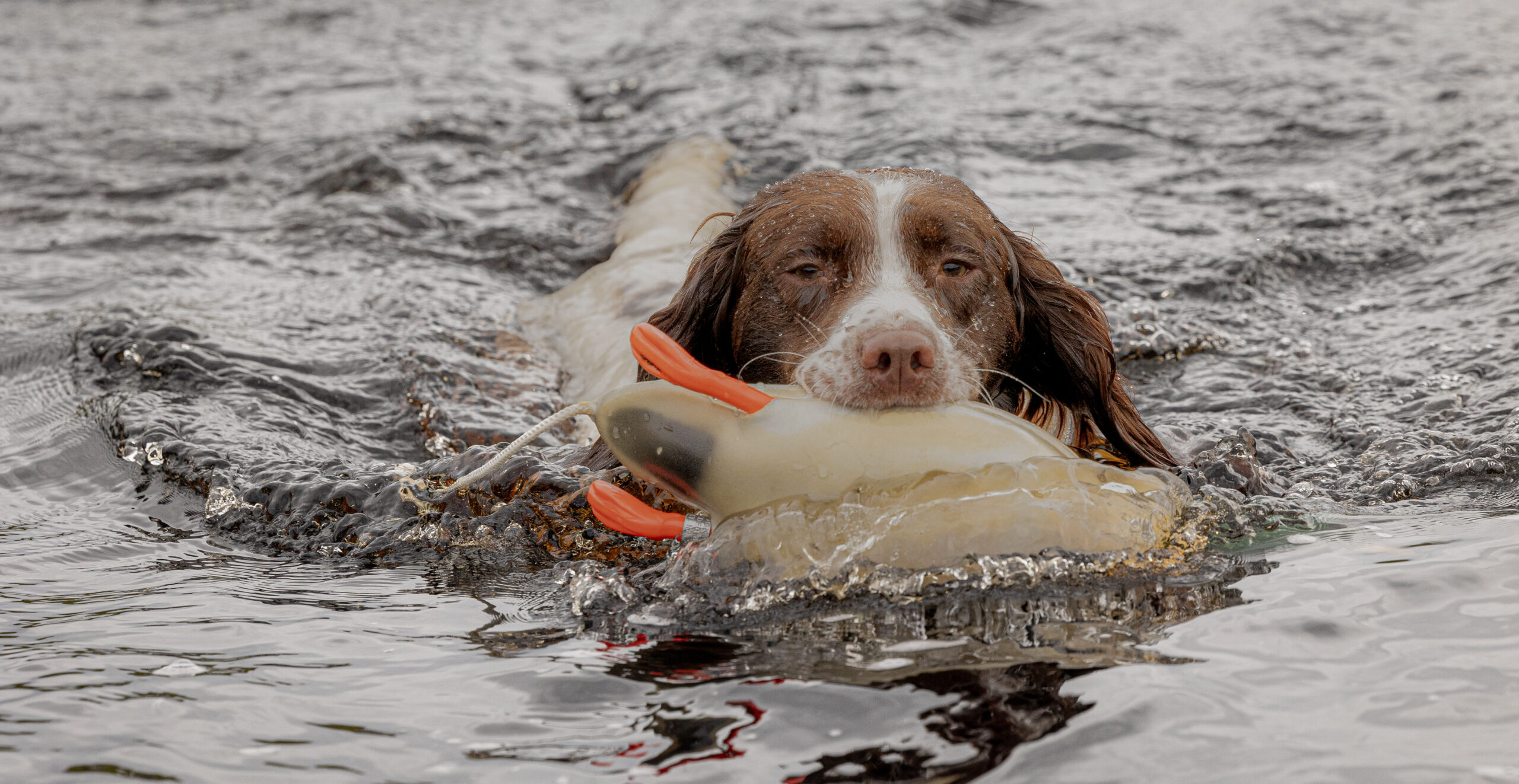 Mallard Dead Fowl Trainer - Image 3