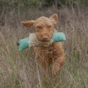 3 Piece Dummy - Image 2