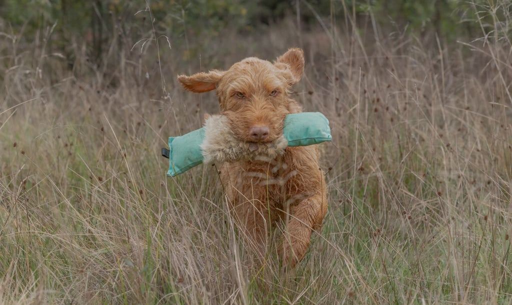 3 Piece Dummy - Image 2