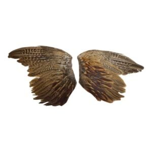 Pheasant Wings - Image 1