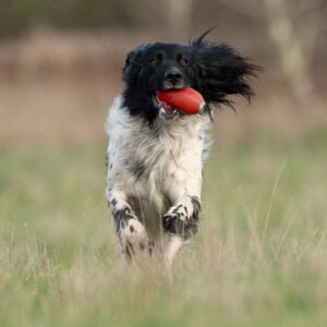 Dummy Launcher Pack - Image 4