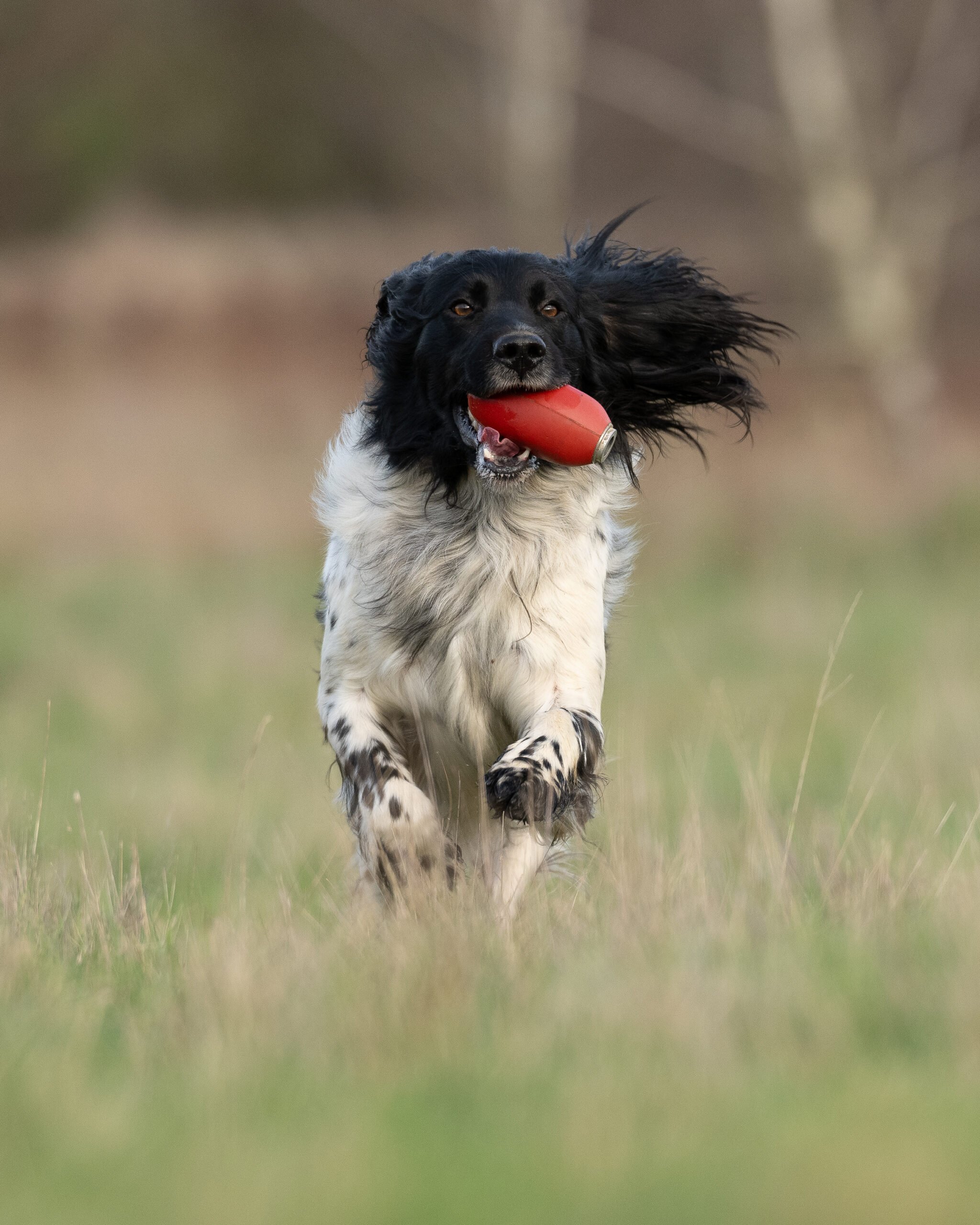 Dummy Launcher Pack - Image 4