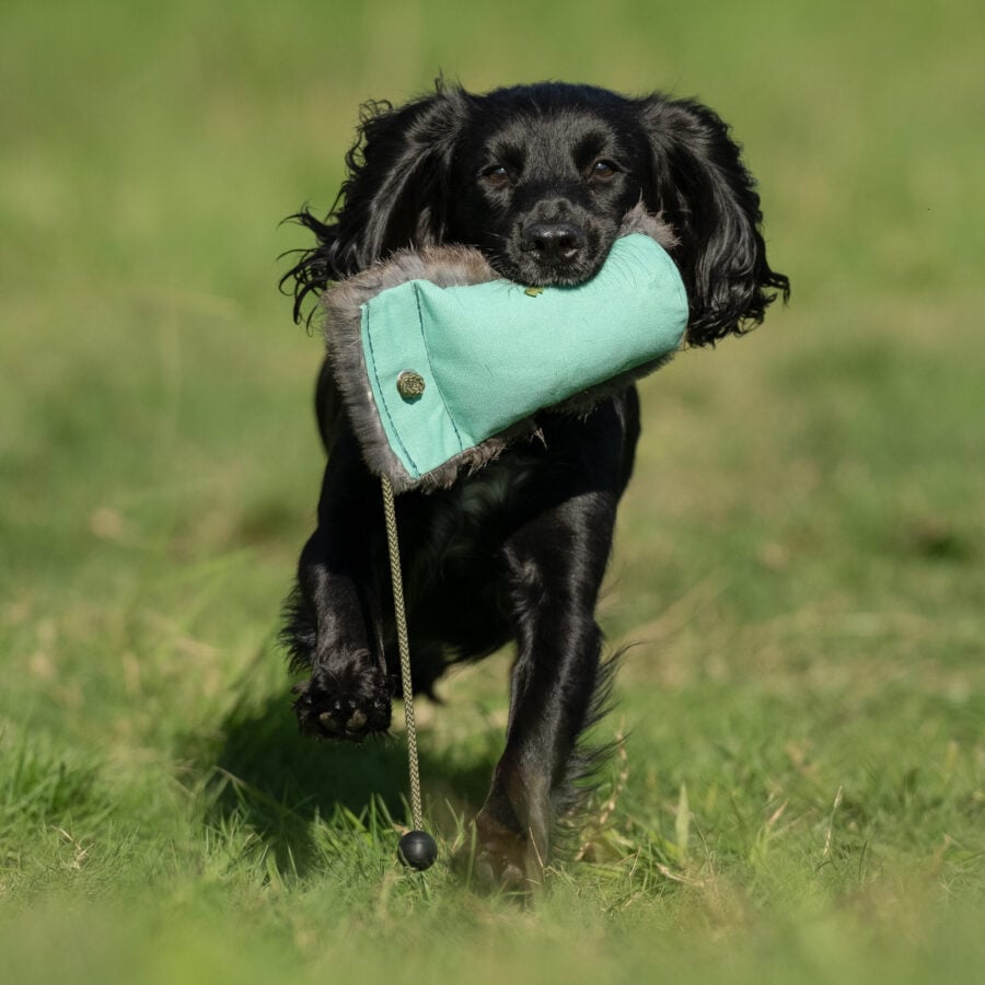 Dual Dummy - various sizes