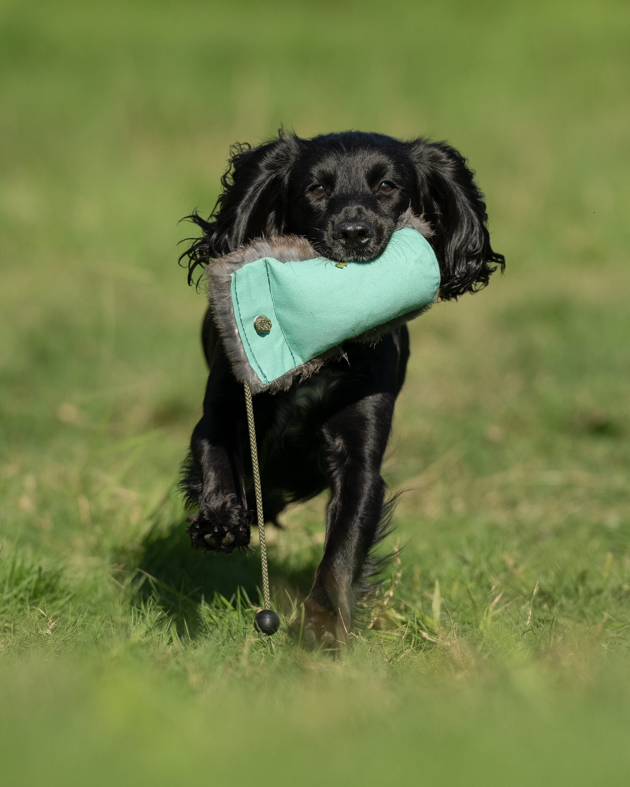 Dual Dummy - various sizes - Image 2