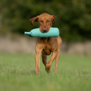 3lb Hand Throwing Dummy Green - Image 2