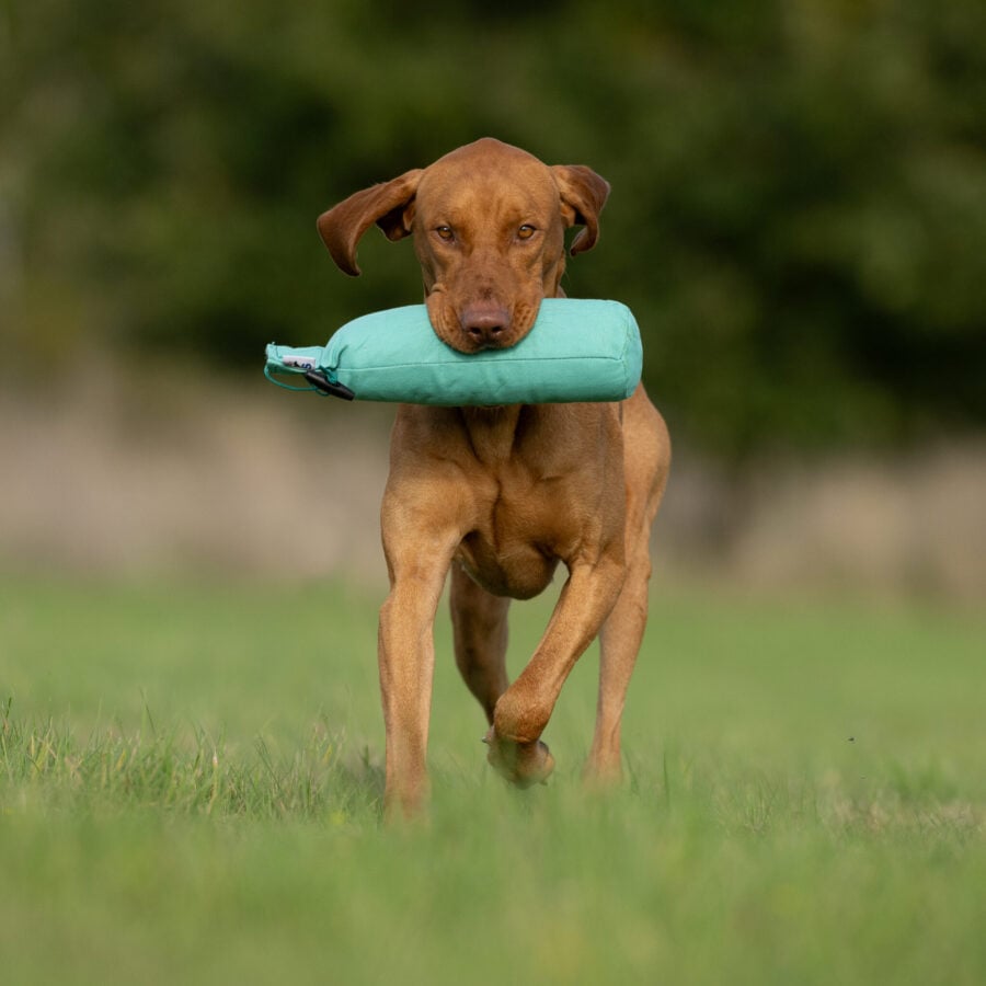 3lb Hand Throwing Dummy Green