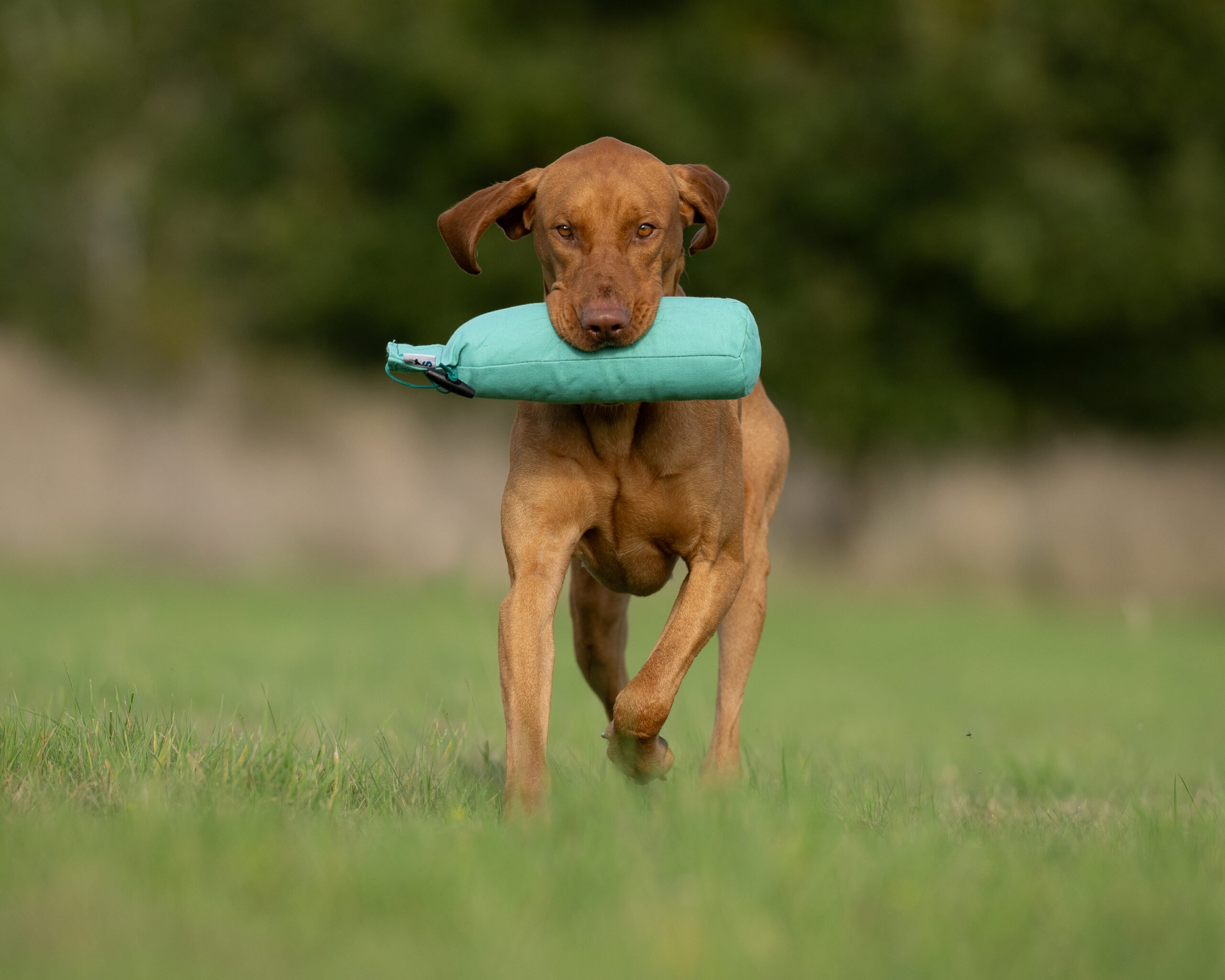 3lb Hand Throwing Dummy Green - Image 2