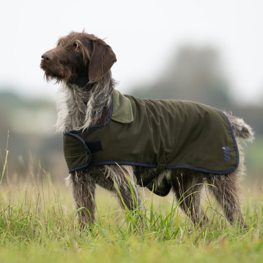 The Winslow Dog Coat - Waterproof & Warm
